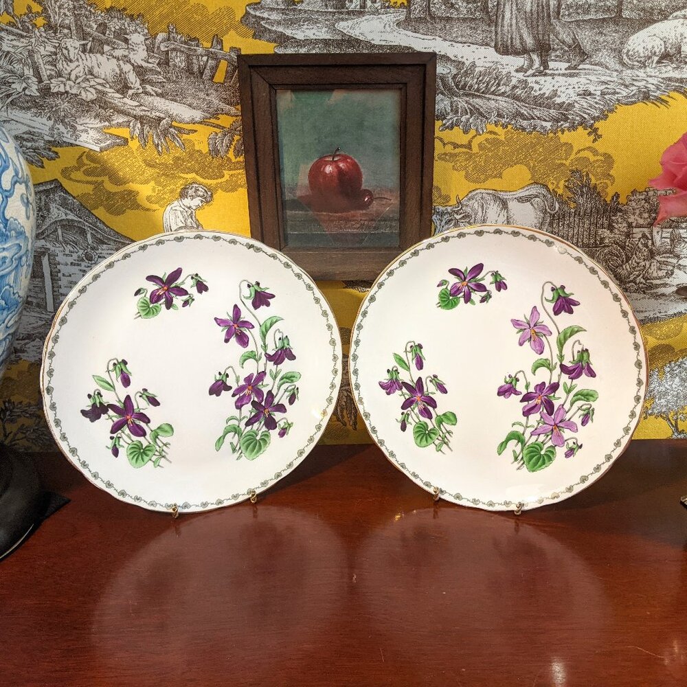 Pair violet floral hand-painted vintage plates, Tuscan, UK “Woodland” bone china